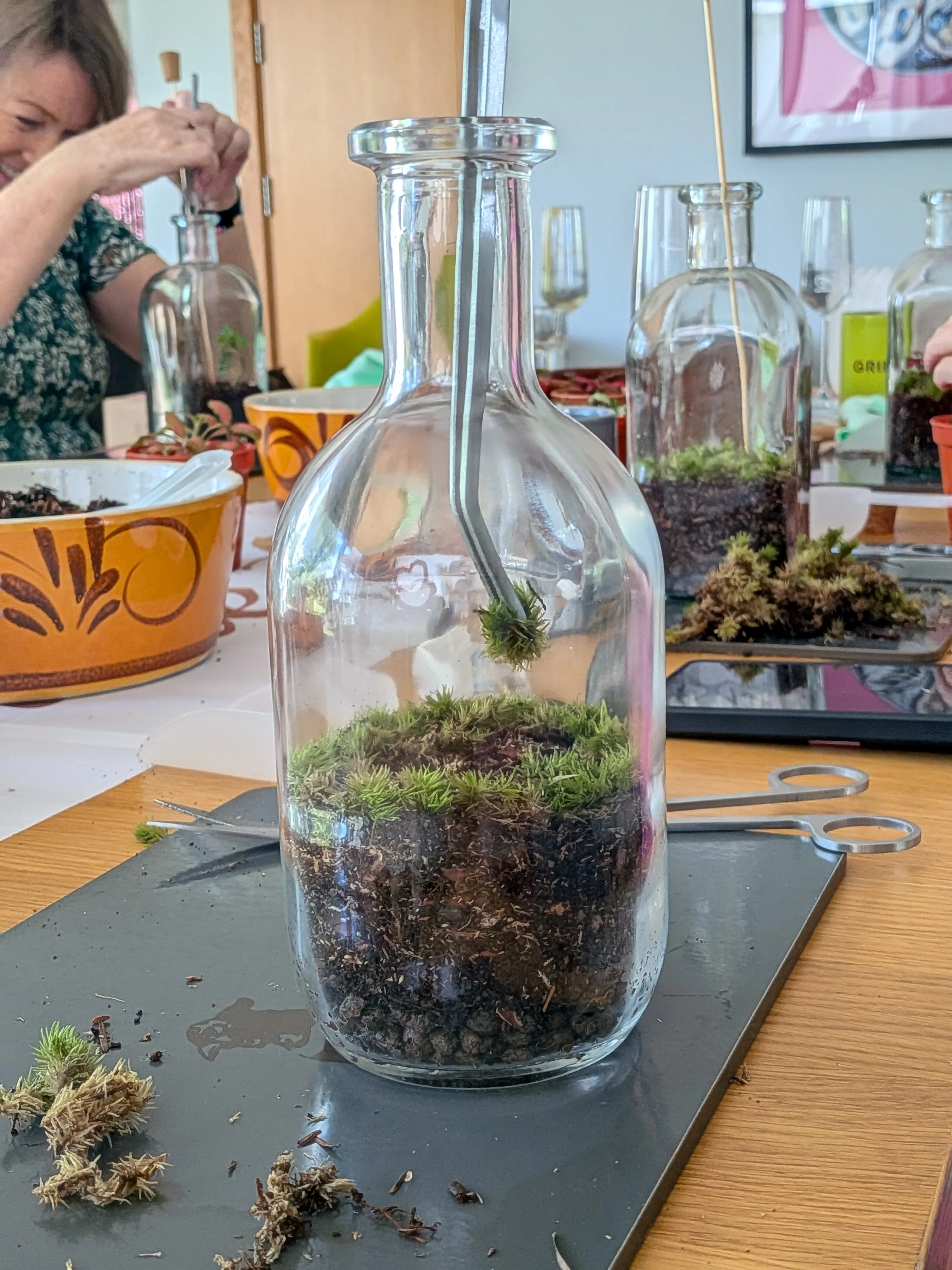 A terrarium taking shape during a hands-on workshop