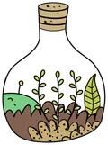 Leaf & Layer terrarium
